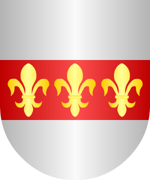 ESCUDO SIGUIENTE